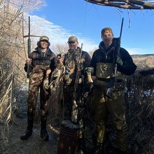 Meet your Posher, Donald